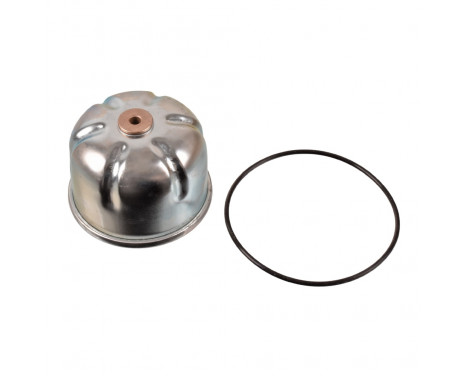 Oil Filter ADJ132121 Blue Print