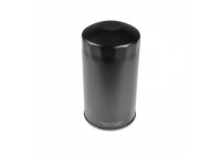 Oil Filter ADN12107 Blue Print