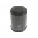 Oil Filter ADN12110 Blue Print