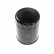 Oil Filter ADN12113 Blue Print