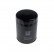 Oil Filter ADN12132 Blue Print