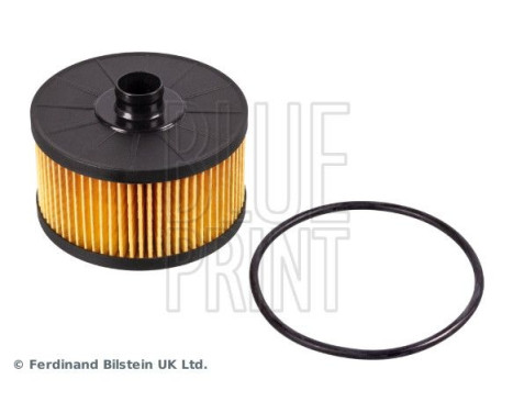 Oil Filter ADN12134 Blue Print, Image 2 Oil Filter ADN12134 Blue Print, Image 2