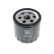 Oil Filter ADV182102 Blue Print
