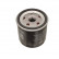 Oil Filter ADV182118 Blue Print, Thumbnail 2