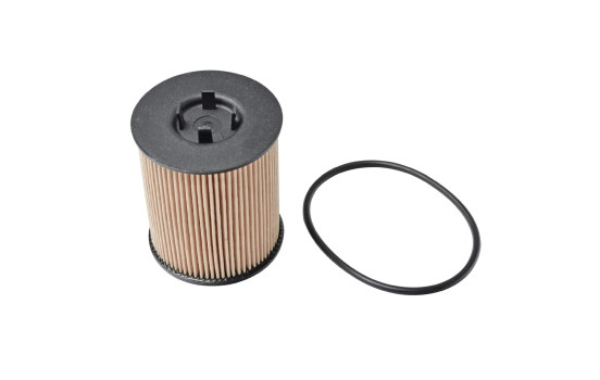 Oil Filter ADW192113 Blue Print