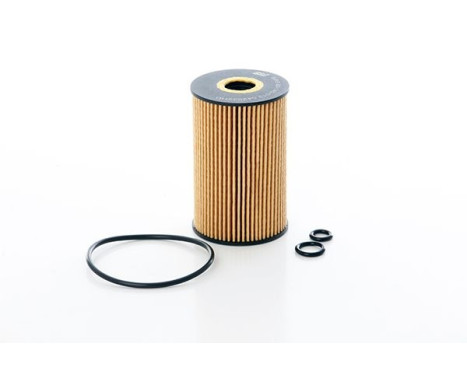 oil filter BSG 90-140-013