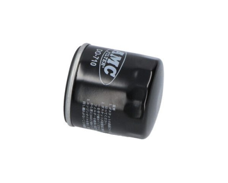 Oil Filter DO-710 AMC Filter, Image 3