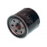 Oil Filter FO-011A AMC Filter