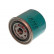 Oil Filter FO-012A AMC Filter