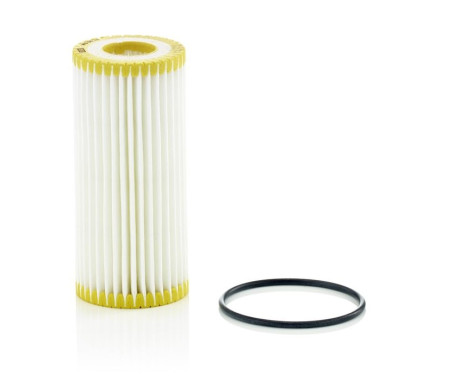 Oil Filter HU 6013 z Mann, Image 3
