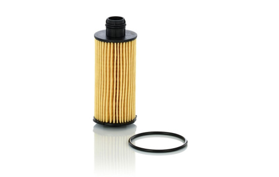 Oil Filter HU 6026 z Mann, Image 3