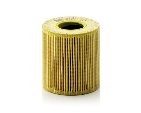 Oil Filter HU 711/51 x Mann