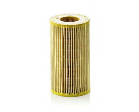 Oil Filter HU 718/1 n Mann