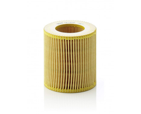 Oil Filter HU 816 x Mann