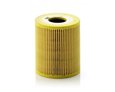 Oil Filter HU 818 x Mann