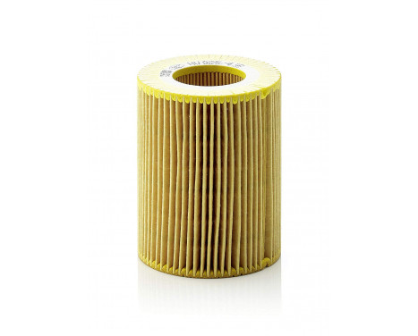 Oil Filter HU 925/4 x Mann