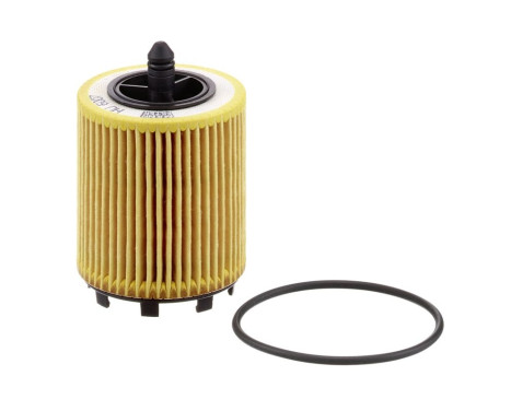 Oil Filter HU6007X Mann, Image 3