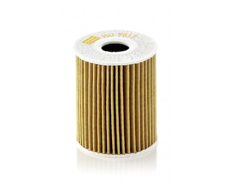 Oil Filter HU7017Z Mann