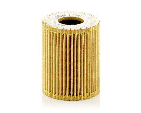 Oil Filter HU7017Z Mann, Image 2