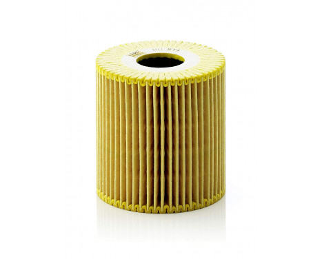 Oil Filter HU819X Mann