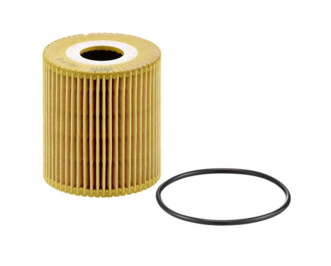 Oil Filter HU819X Mann, Image 2