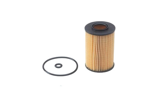 Oil Filter L300 Purflux