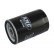 Oil Filter MO-538 AMC Filter