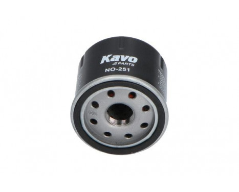 Oil Filter NO-251 AMC Filter, Image 2