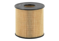 Oil filter OE 666/1 Filtron