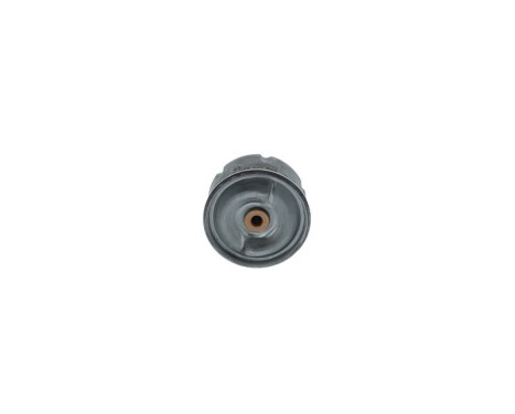 Oil Filter P7099 Bosch