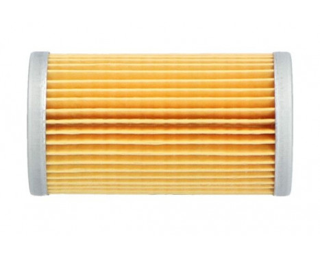 Oil Filter YO-9013 AMC Filter, Image 2