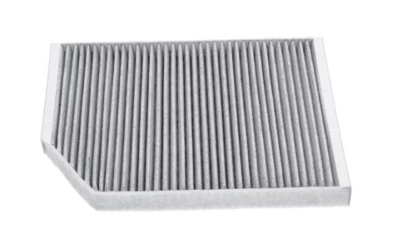 AMC Filter Interior Xtra-clean FCA-10070X Kavo parts