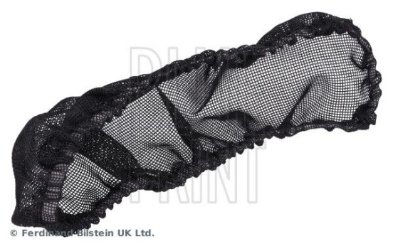 Cabin filter ADBP250085 Blue Print, Image 2