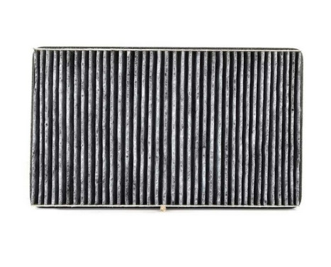 Cabin filter BSG 60-145-016