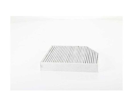 Cabin filter BSG 60-145-020