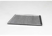 Cabin filter BSG 60-145-025