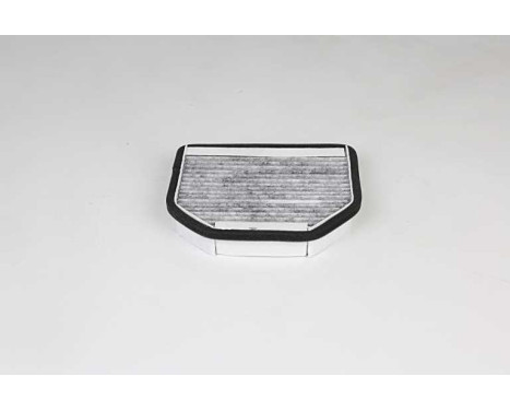 Cabin filter BSG 60-145-034