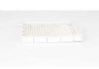 Cabin filter BSG 75-145-002