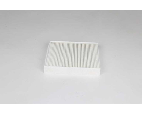 Cabin filter BSG 75-145-012