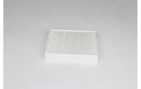 Cabin filter BSG 75-145-012