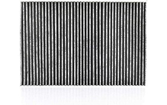 Cabin filter BSG 90-145-015