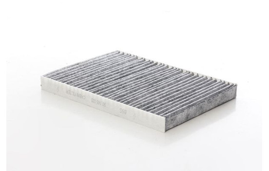 Cabin filter BSG 90-145-025