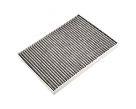 Filter, interior air ADBP250013 Blue Print