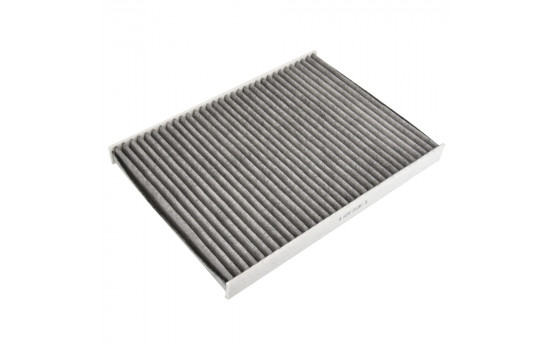 Filter, interior air ADBP250020 Blue Print
