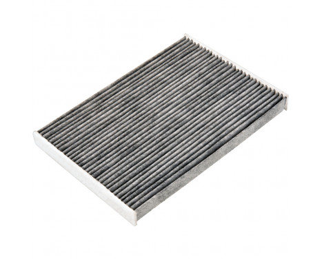 Filter, interior air ADBP250024 Blue Print