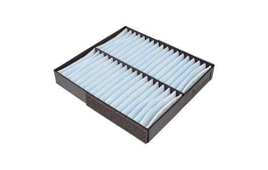 Filter, interior air ADC42519 Blue Print