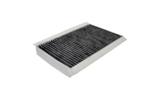 Filter, interior air ADJ132502 Blue Print
