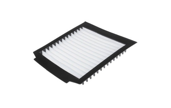 Filter, interior air ADJ132505 Blue Print