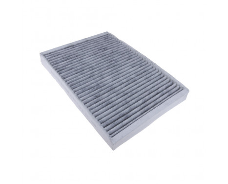 Filter, interior air ADJ132508 Blue Print