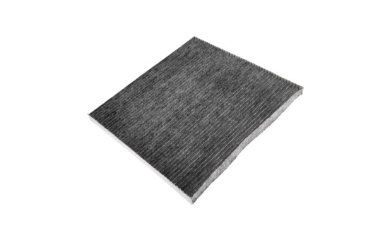 Filter, interior air ADN12520 Blue Print, Image 2